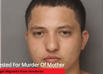 6 Arrested In M*rder Of South Carolina Mother – Are ALL Illegal Migrants